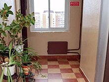 Насекомые проникают в подъезд из квартир, где не соблюдаются санитарные нормы – управа