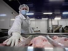 В Санкт-Петербурге закроются магазины «Великолукского мясокомбината»