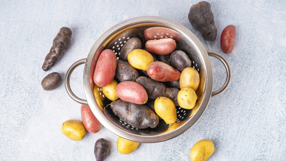 Прививка-химера поможет создать новые виды овощей