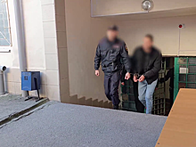 Житель Крыма за ложное сообщение об угрозе в школе Симферополя стал фигурантом уголовного дела