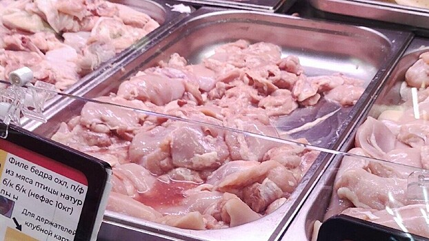 Курица или индейка — что выбрать?