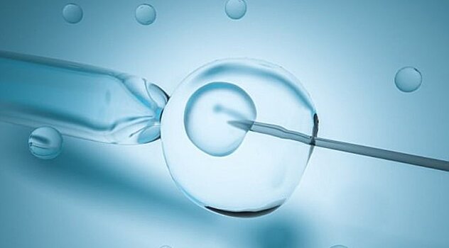 Замороженные эмбрионы так же эффективны