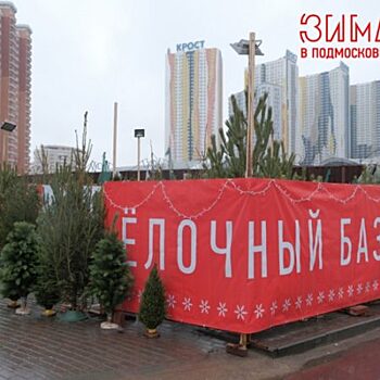 Елочные базары открываются в Красногорске