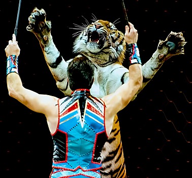 Зоозащитники призвали закрыть в России цирки с животными и зоопарки