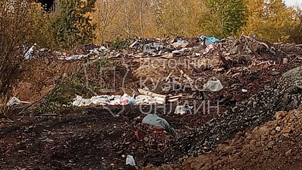 Свалка мусора образовалась в Рудничном районе Кемерова