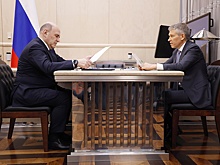 Мишустин заявил о кардинальных переменах в сельском хозяйстве за 25 лет