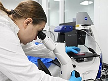 Американские ученые объявили об успешных испытаниях вакцины от рака поджелудочной