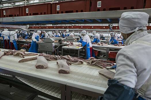 Крупная азиатская страна открыла рынок для поставок мяса птицы из России