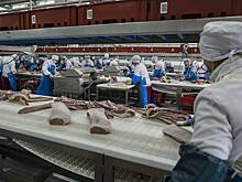 Крупная азиатская страна открыла рынок для поставок мяса птицы из России