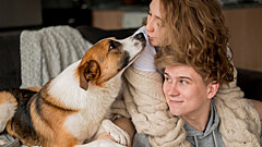 Этот простой трюк заставит арендодателя согласиться на питомца