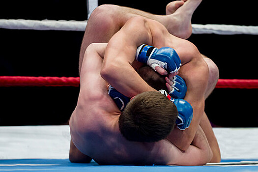 Бойцы MMA из России и Словении устроили потасовку на турнире в Польше