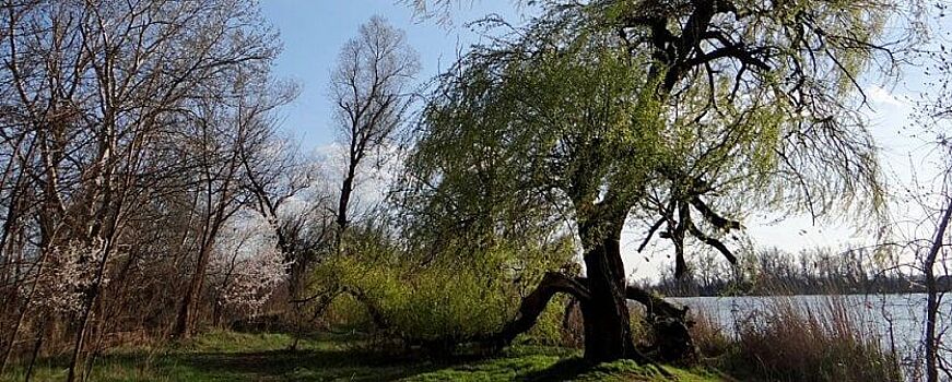 В Краснодарском крае появились еще две ООПТ