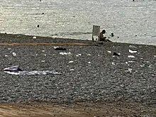 За окурок на пляже в Анталье придется заплатить почти 1000 рублей