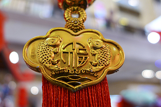 На саммите ШОС появился антропоморфный робот Сяо Хэ