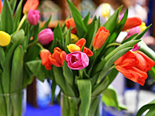 Майский Кишинев - благодарные ученики поздравили Мастера