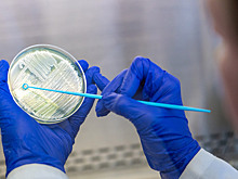 Учёные развенчали 6 опасных мифов об антибиотиках