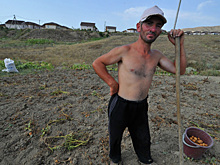 Германия спасает грузин от кризиса и нищеты