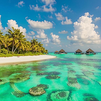 Нижегородец едва не остался без отдыха на Мальдивах из-за огромного долга