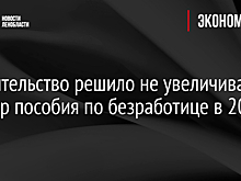 Правительство решило не увеличивать размер пособия по безработице в 2020 году