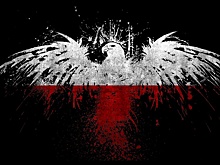 Просыпайся, Польша, но не от удара граблями по лбу! Взгляд из Калининграда