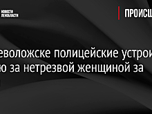 Во Всеволожске полицейские устроили погоню за нетрезвой женщиной за рулем