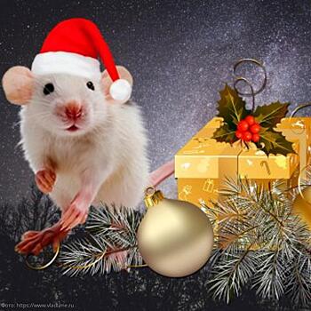 Как украсить новогодний стол, чтобы Крыса осталась довольна и исполнила все ваши мечты