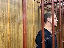 Виновник смертельного ДТП на улице 1905 года раскаялся в содеянном