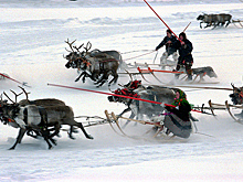 Полтора миллиарда рублей направят на поддержку коренных народов в Красноярье