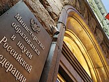 Замдиректора департамента Минобрнауки задержали в Москве