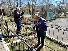 Саженцы ильма высадили в парке Дома офицеров в Чите