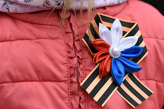 Россиянина в Эстонии под угрозой суда заставили выкинуть в мусор Георгиевскую ленту