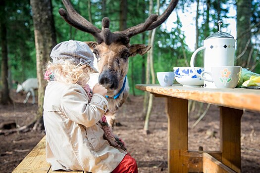 Осенний фотоконкурс стартовал в Подмосковье