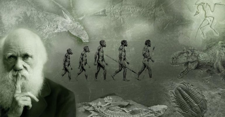 Дарвин был не прав: 10 мифов, опровергающих теорию эволюции -  Рамблер/новости