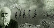 Дарвин был не прав: 10 мифов, опровергающих теорию эволюции