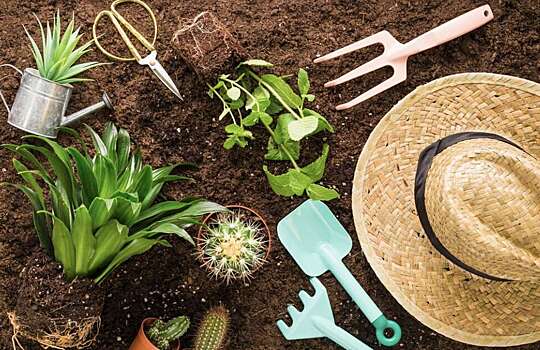 Три вещи, котоые вам не пригодятся на даче - а вы их все равно берете