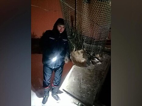 Подмосковные спасатели вытащили упавшую в колодец кошку