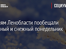 Жителям Ленобласти пообещали морозный и снежный понедельник