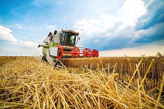 СберЛизинг принимает участие в выставке «День поля-2021»