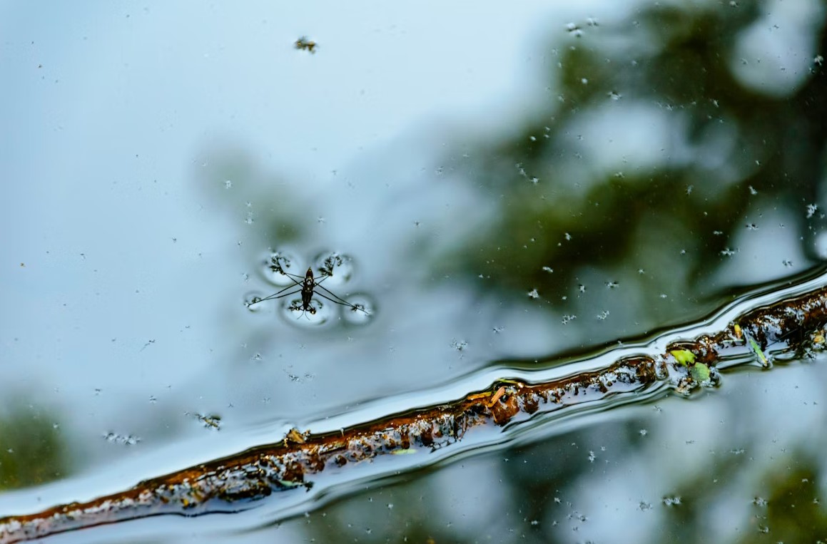 ������&nbsp; � ���� ������ ��� ���������?