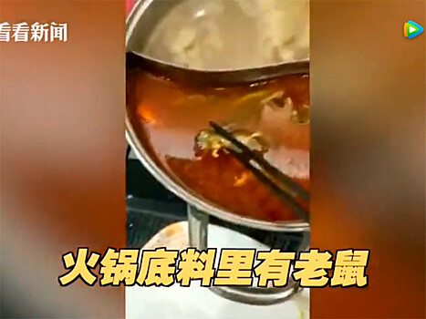 Мертвый крысёныш в супе обрушил акции сети китайских ресторанов Xiabu Xiabu на в $190 млн (ФОТО). Что еще находят в еде в общепите