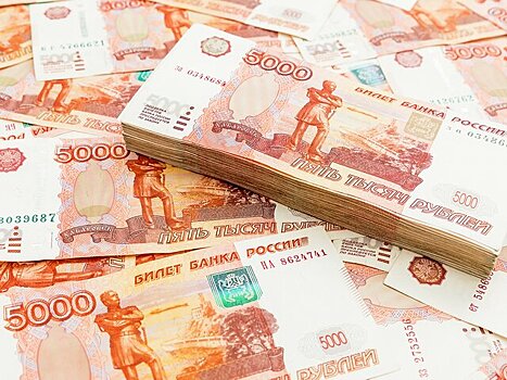 В ГД хотят обратиться в правительство для либерализации ввоза наличной валюты в РФ