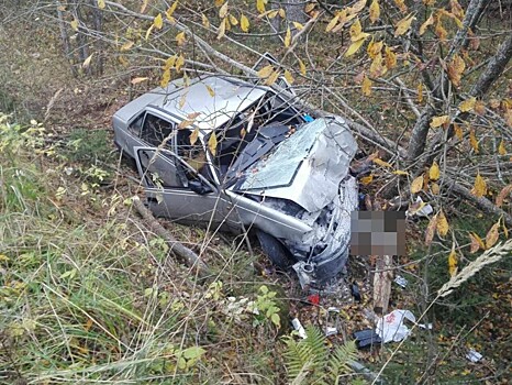 В Тверской области пьяный водитель вылетел с дороги