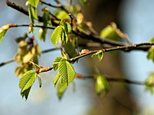 Бунт домовых и вещие сны: приметы 12 апреля