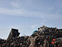 ​Строительство мусорного полигона под Екатеринбургом за 12 миллиардов начнется в 2022 году