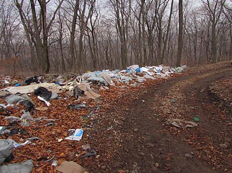 Лес в пригороде Владивостока постепенно превращается в мусорный полигон