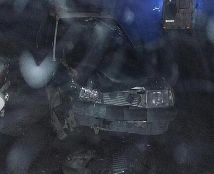 На Кубани из-за пьяного водителя пострадали мужчина и 6-летний ребенок