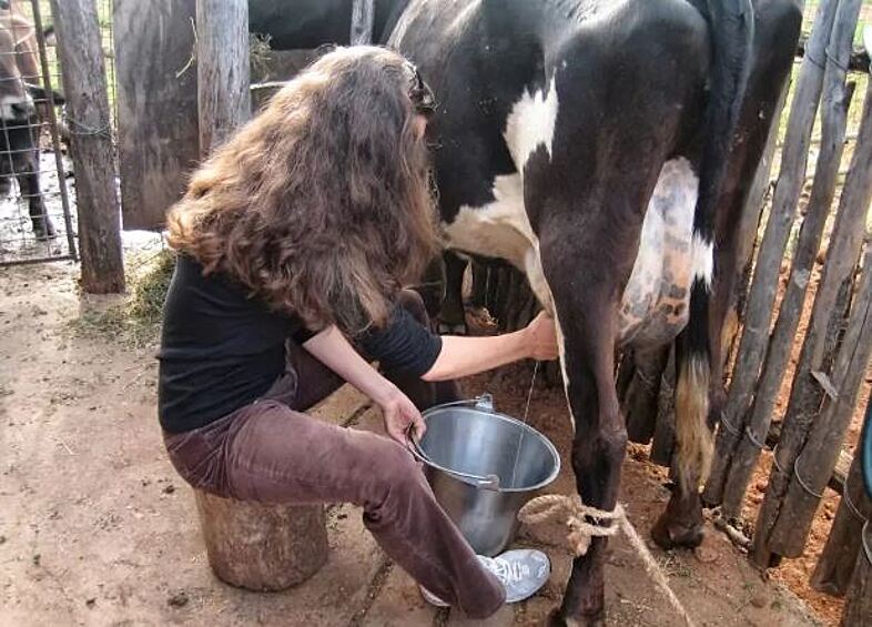 Процесс пошел: "Вначале что-то пошло не так..., - рассказала одна из доярок в Instagram. - Но местные помогли мне и уговорили корову потерпеть!"