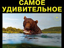 Последний день выставки – бесплатный