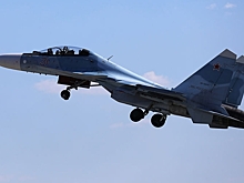 Крушение Су-30СМ в Казахстане связали с птицами
