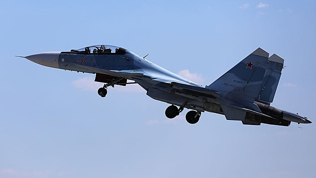 Крушение Су-30СМ в Казахстане связали с птицами